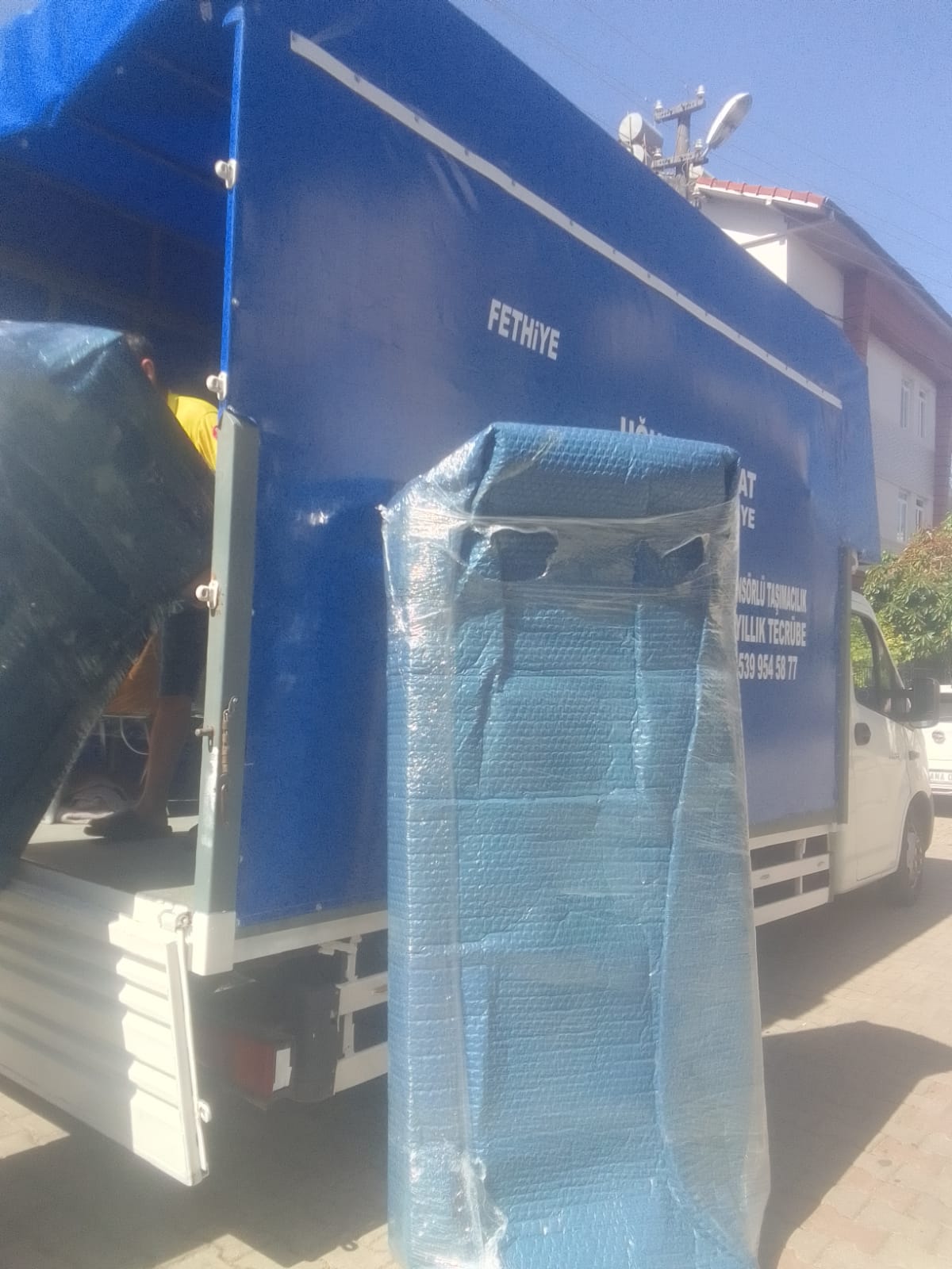 proje
