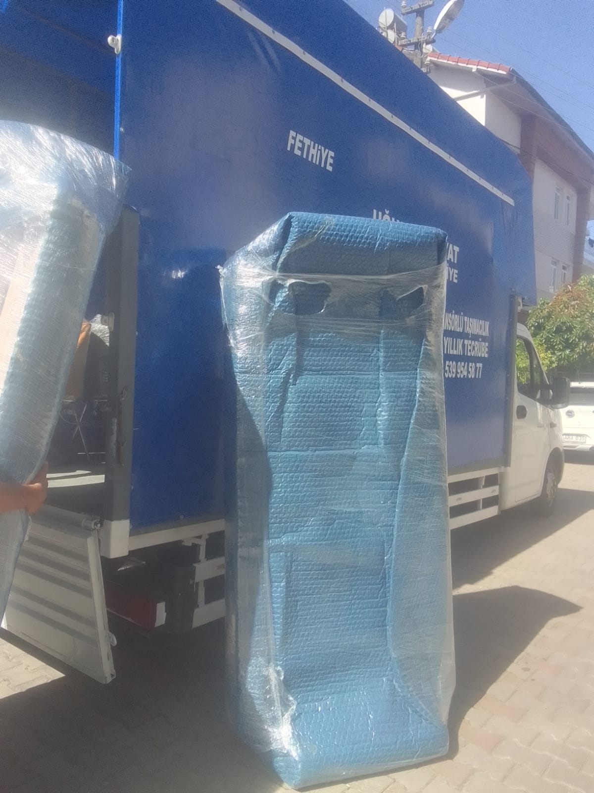 proje